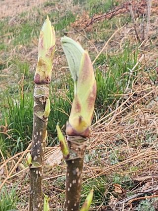 산골짜기농민님의 자유주제 · 자유게시판 작성글 사진