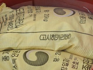 김호님의 자유주제 · 자유게시판 작성글 사진