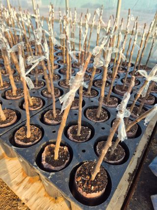 우리농원님의 자유주제 · 자유게시판 작성글 사진