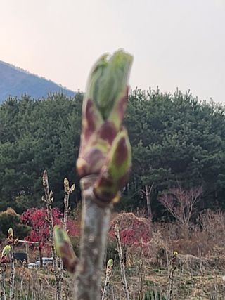 산골짜기농민님의 자유주제 · 자유게시판 작성글 사진