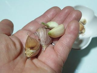 농부아내님의 작성글 사진