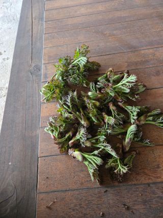 자연인님의 자유주제 · 자유게시판 작성글 사진