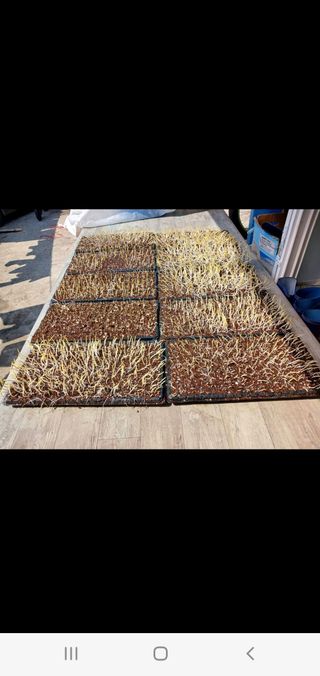 옥천서화농님의 자유주제 · 자유게시판 작성글 사진