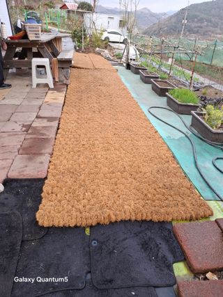 이세순님의 자유주제 · 자유게시판 작성글 사진