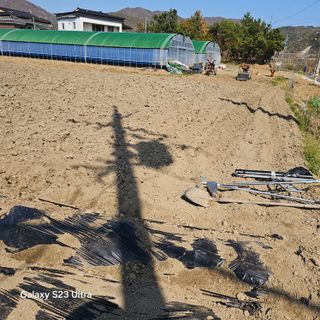 박용열조물주님 님의 자유주제 · 자유게시판 작성글 사진