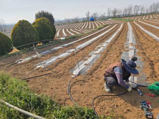 박수열님의 자유주제 · 자유게시판 작성글 사진