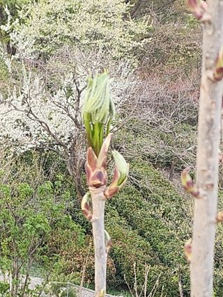 산골짜기농민님의 자유주제 · 자유게시판 작성글 사진