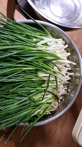 김지철님의 자유주제 · 자유게시판 작성글 사진