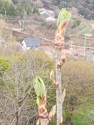 산골짜기농민님의 자유주제 · 자유게시판 작성글 사진