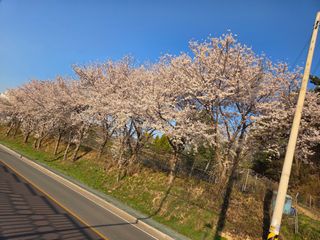 윤종신님의 자유주제 · 사진전 작성글 사진
