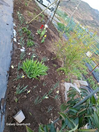 이세순님의 자유주제 · 자유게시판 작성글 사진