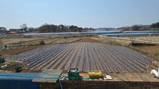 황규복(달구지)님의 자유주제 · 자유게시판 작성글 사진