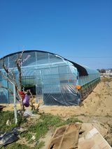 팜모닝 자유주제·자유게시판 게시글 이미지