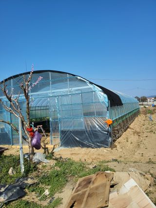 식만동 복합영농님의 자유주제 · 자유게시판 작성글 사진