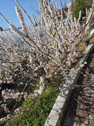 참살이님의 자유주제 · 자유게시판 작성글 사진