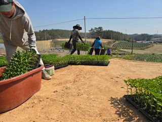 박수열님의 자유주제 · 자유게시판 작성글 사진