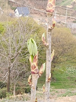 산골짜기농민님의 자유주제 · 자유게시판 작성글 사진