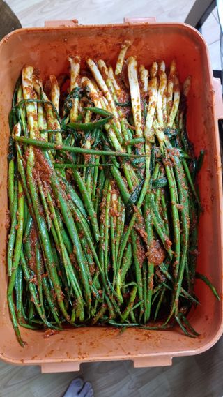 김지철님의 자유주제 · 자유게시판 작성글 사진