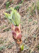 팜모닝 자유주제·자유게시판 게시글 이미지