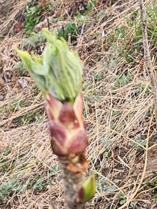 산골짜기농민님의 자유주제 · 자유게시판 작성글 사진