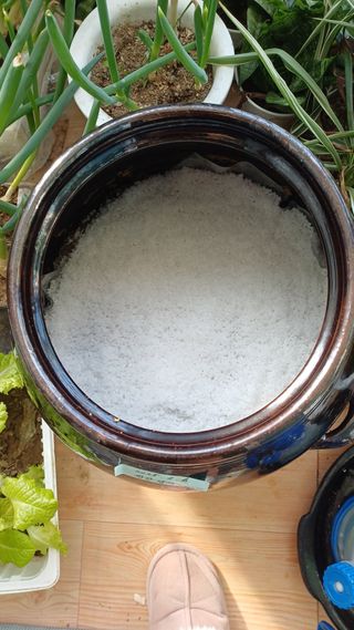 박순덕님의 자유주제 · 자유게시판 작성글 사진