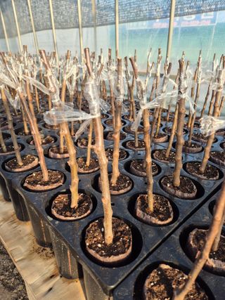 우리농원님의 자유주제 · 자유게시판 작성글 사진