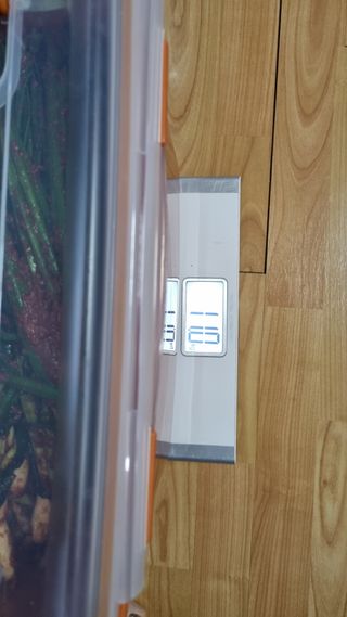 김지철님의 자유주제 · 자유게시판 작성글 사진