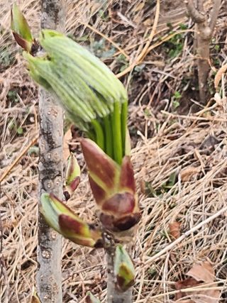 산골짜기농민님의 자유주제 · 자유게시판 작성글 사진
