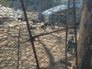 향등농원님의 자유주제 · 자유게시판 작성글 사진