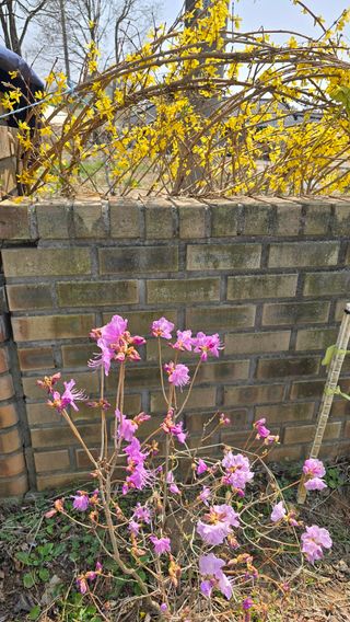 황규복(달구지)님의 자유주제 · 자유게시판 작성글 사진