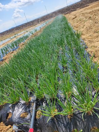 갑돌이님의 자유주제 · 자유게시판 작성글 사진