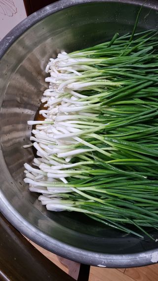 김지철님의 자유주제 · 자유게시판 작성글 사진