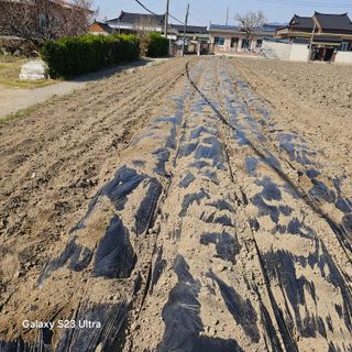 박용열조물주님 님의 자유주제 · 자유게시판 작성글 사진