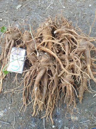 황강순님의 작성글 사진