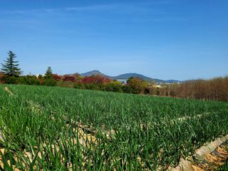 도시 농부님의 일손 구하셨나요? · 참여글 작성글 사진