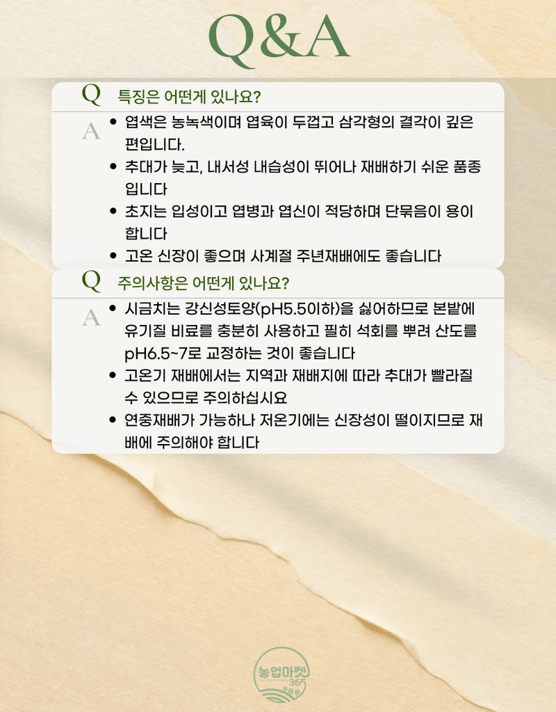 농업마켓365님의 장터 판매 상품 [농업마켓365 아시아종묘 시금치 20g 500g 올시즌시금치 씨앗 종자 종묘 ] 첨부 사진