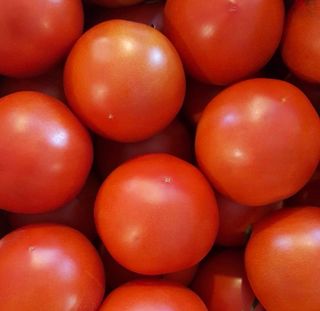 농부손녀님의 작성글 사진