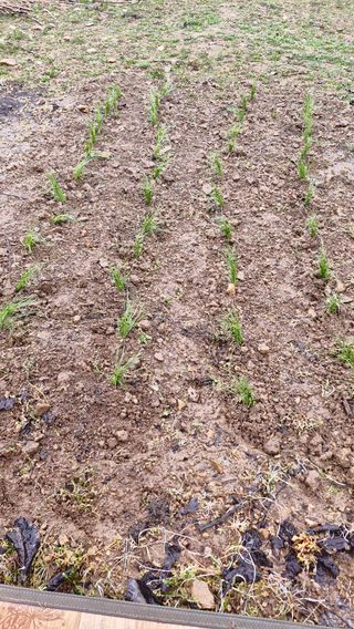 정석구님의 자유주제 · 자유게시판 작성글 사진