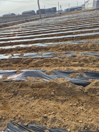 참깨10143님의 일손 구하셨나요? · 참여글 작성글 사진