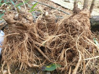 황강순님의 작성글 사진