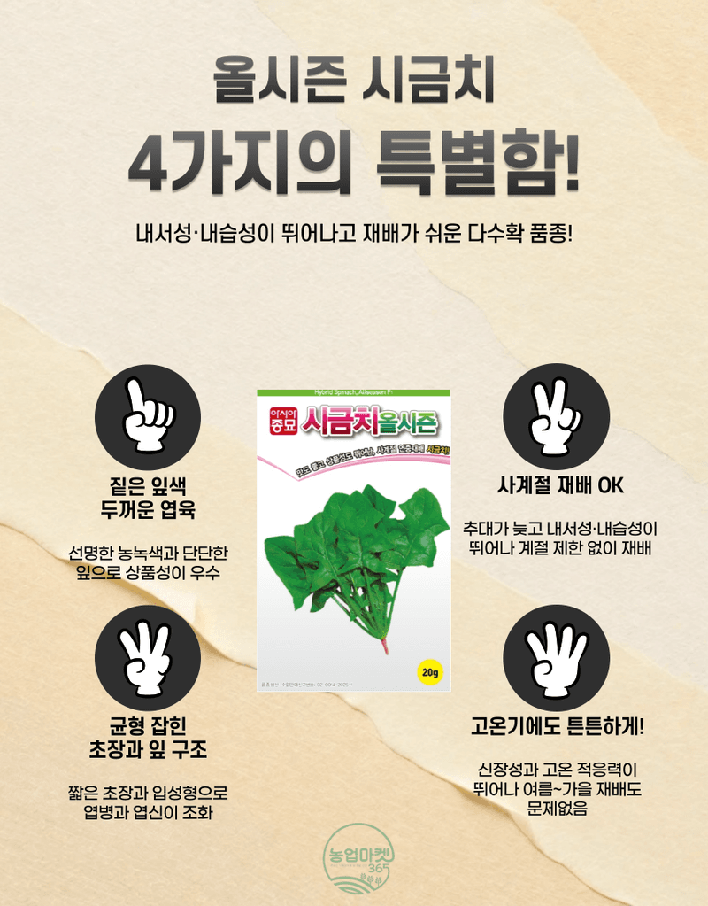 농업마켓365님의 장터 판매 상품 [농업마켓365 아시아종묘 시금치 20g 500g 올시즌시금치 씨앗 종자 종묘 ] 첨부 사진