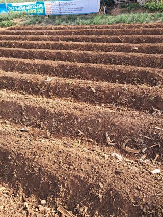 김완섭님의 일손 구하셨나요? · 참여글 작성글 사진