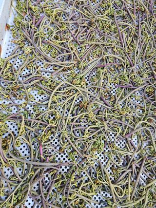 경희아짐님의 자유주제 · 자유게시판 작성글 사진