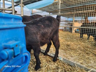 상추6475님의 자유주제 · 자유게시판 작성글 사진