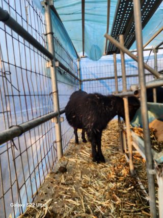 상추6475님의 자유주제 · 자유게시판 작성글 사진