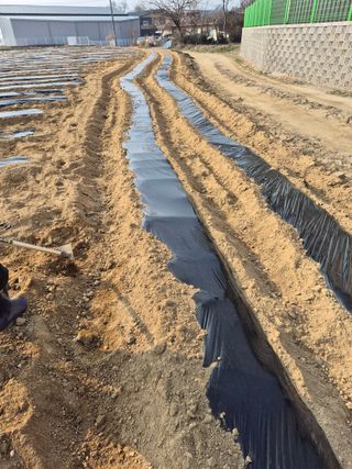 참깨10143님의 일손 구하셨나요? · 참여글 작성글 사진