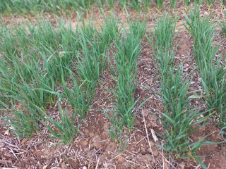 너바라기님의 자유주제 · 자유게시판 작성글 사진