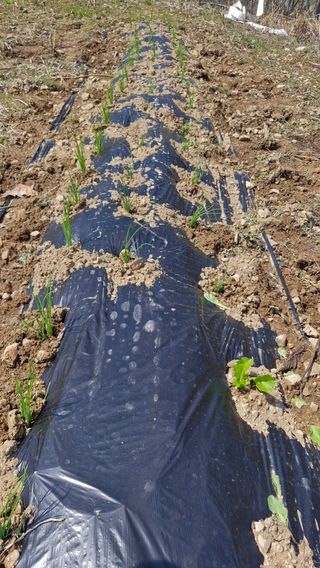 정석구님의 자유주제 · 자유게시판 작성글 사진