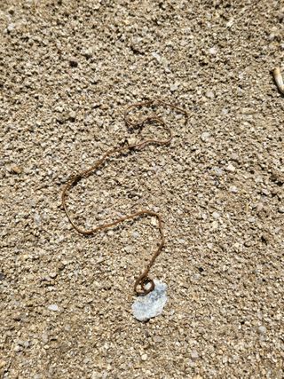 남병목님의 팜모닝 토론방 · 주제제안 작성글 사진