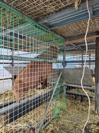 상추6475님의 자유주제 · 자유게시판 작성글 사진